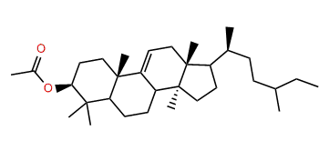 24-Methyl-31-nor-9(11)-lanostenol acetate